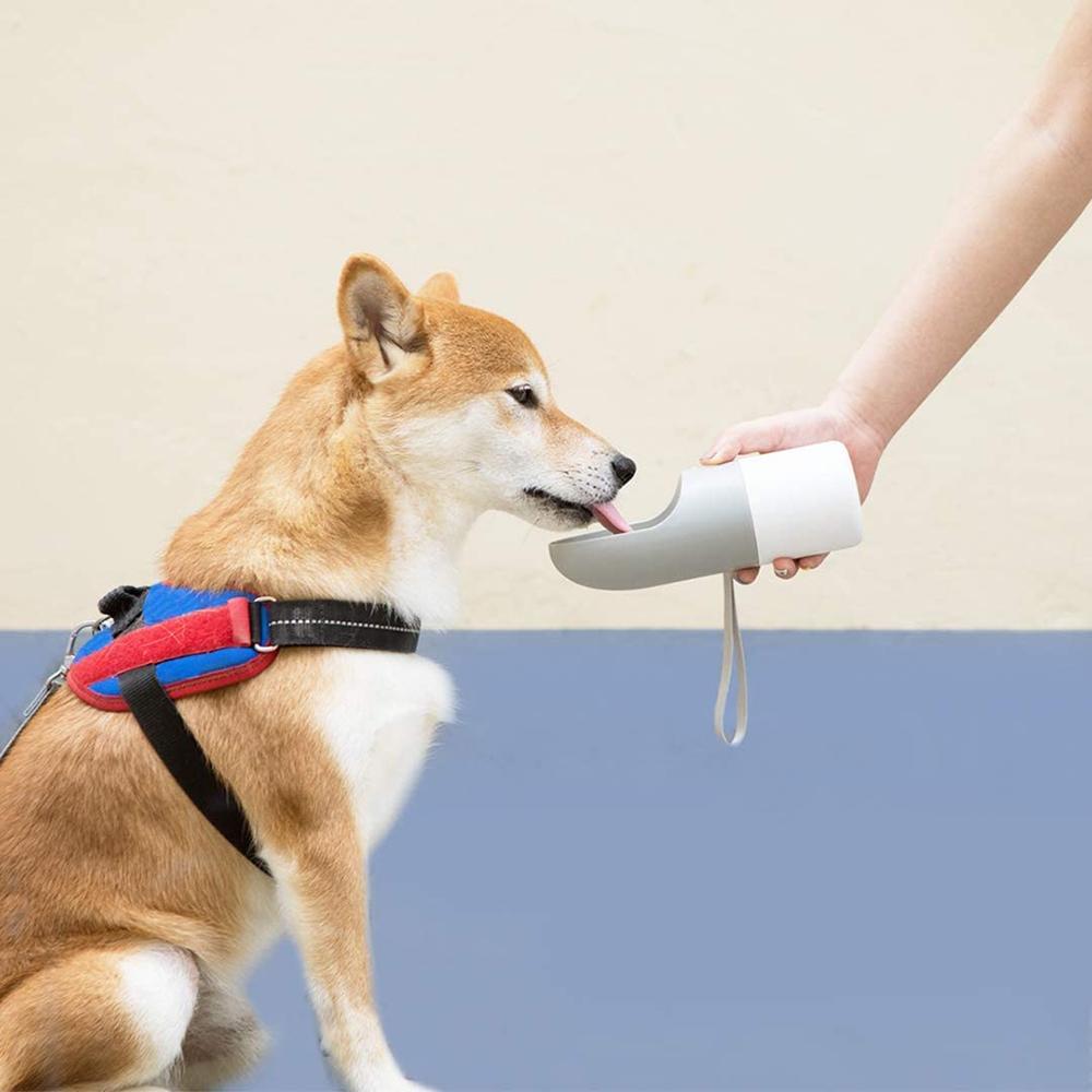 Portable Dog Water Bottle